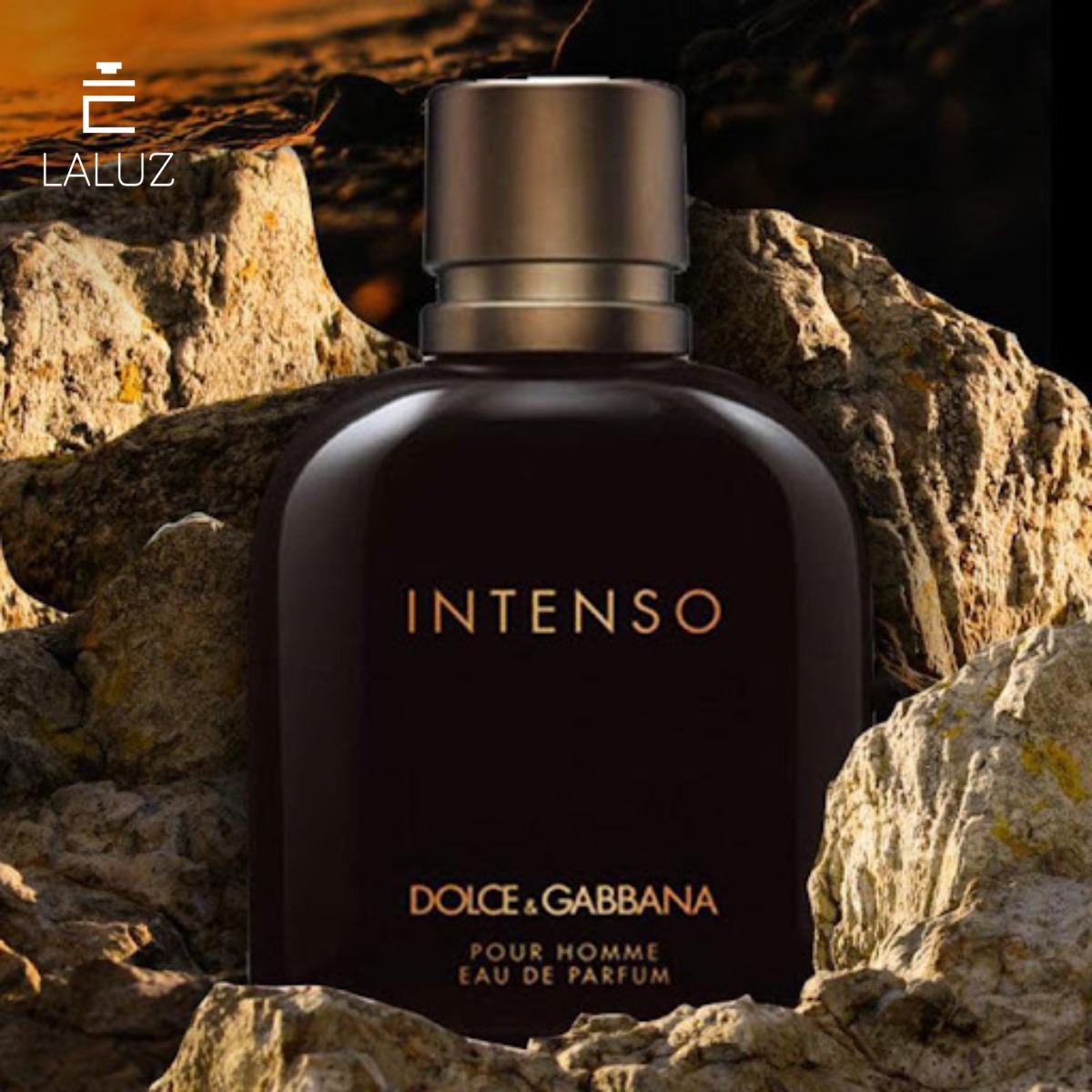 Nước hoa Dolce & Gabbana Pour Homme Intenso cho nam mùi gỗ ấm áp