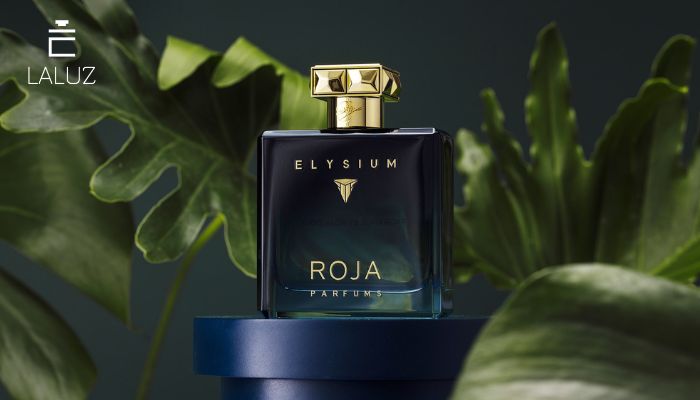 Roja Elysium Pour Homme Parfum Cologne giữ mùi lâu cho nam giới