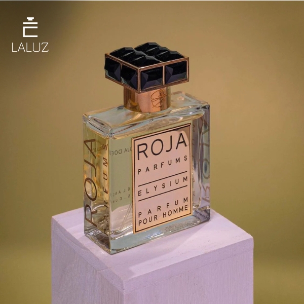 Roja Elysium Parfum Pour Homme dành riêng cho nam