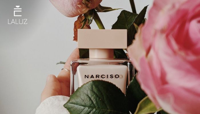 Nước hoa Narciso For Her đặc biệt với nồng độ cao  