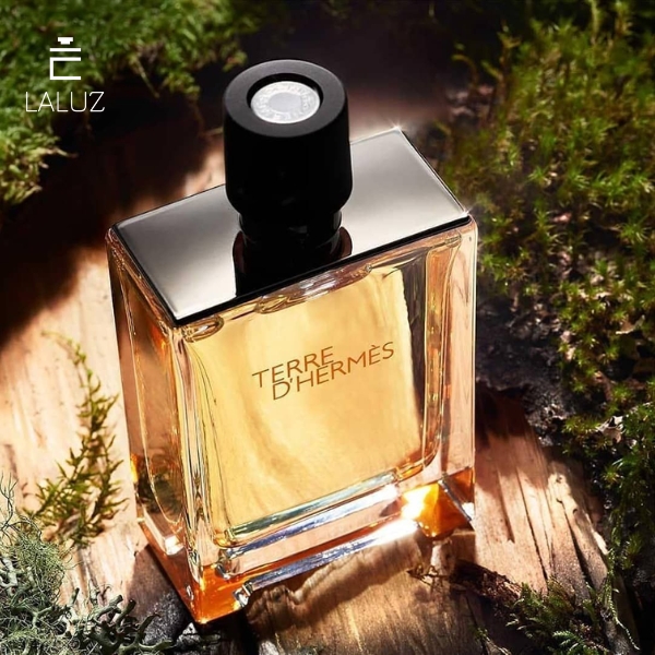 Nước hoa Hermes nam Terre d’Hermes Pure Parfum