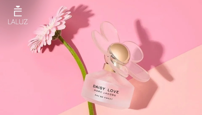 Daisy Love - hương thơm của sự duyên dáng, e ấp và đáng yêu