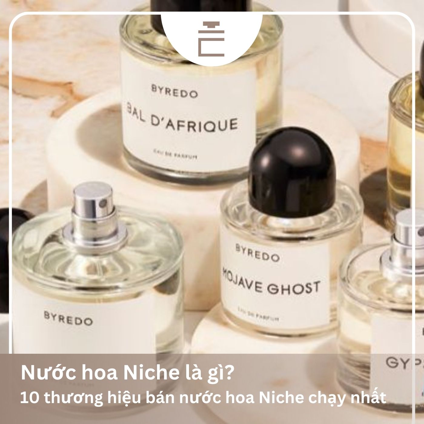 Nước hoa Niche là gì? Top 10 chai nước hoa Niche cao cấp