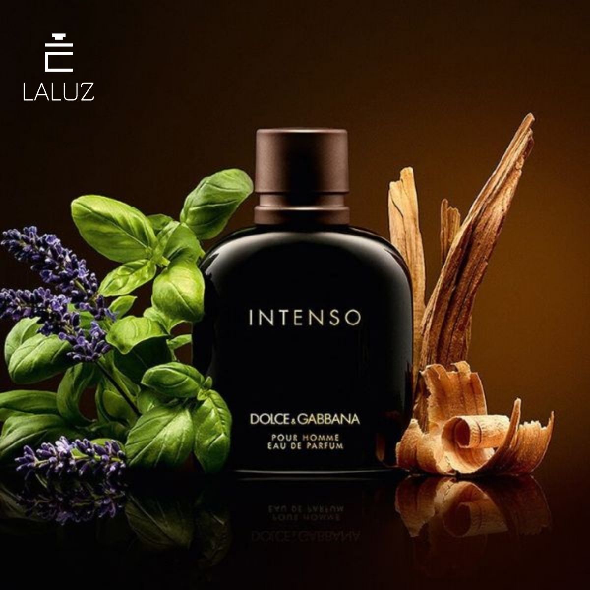 Nước hoa D&G Pour Homme Intenso hương gỗ tông màu đen huyền bí