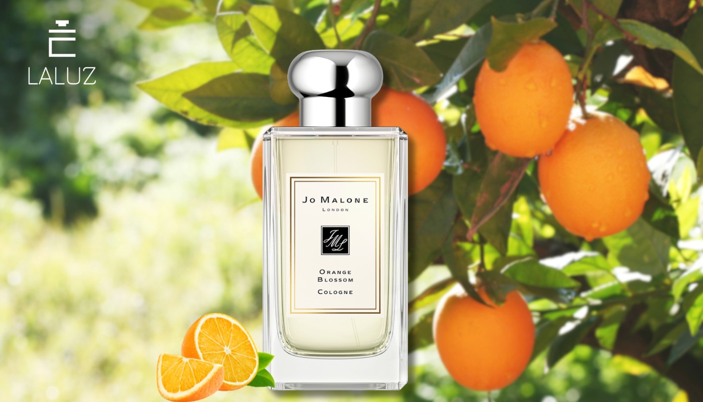 Nước hoa Jo Malone Orange Blossom hương cam chanh dễ chịu