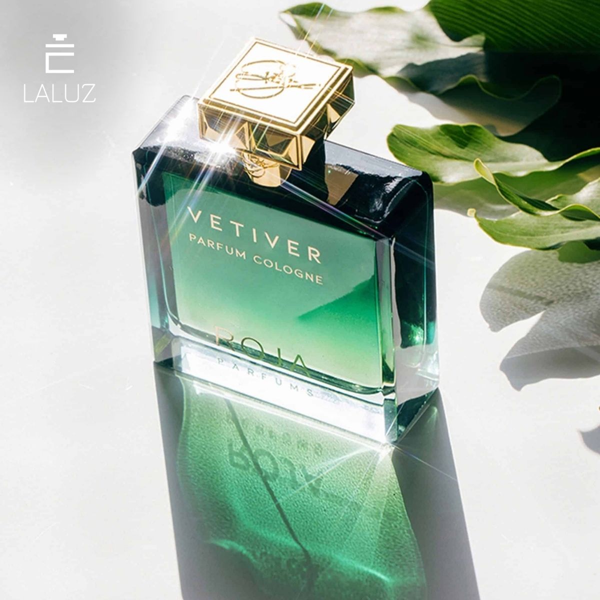 Roja Vetiver Cologne là sản phẩm nước hoa gỗ đàn hương của Roja Dove