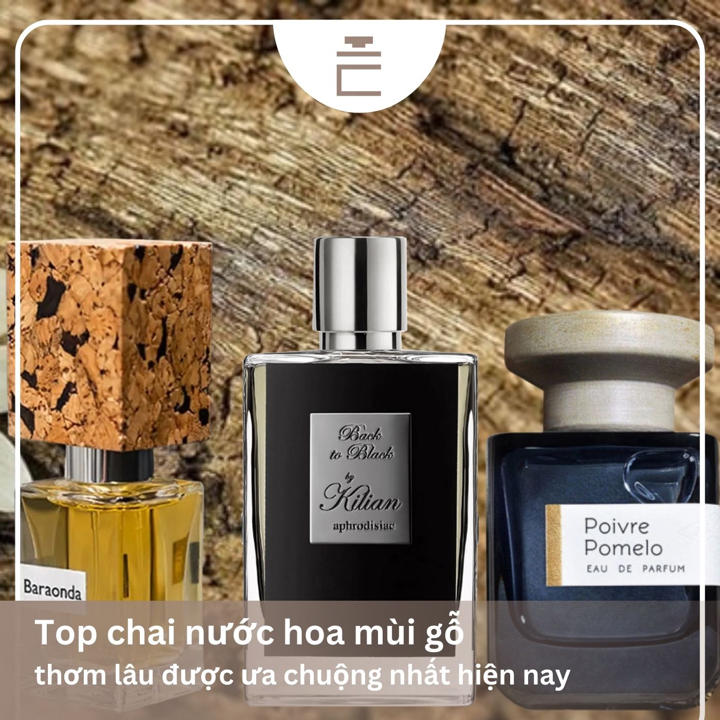 Top chai nước hoa mùi gỗ thơm lâu