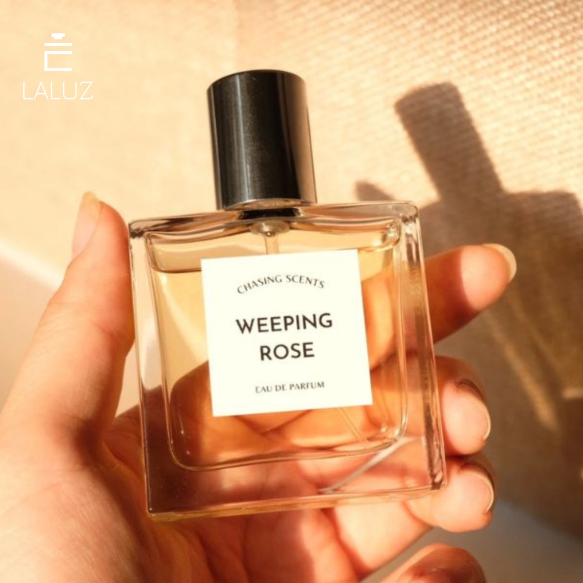 Weeping Rose EDP là dòng nước hoa được ưa chuộng bật nhất