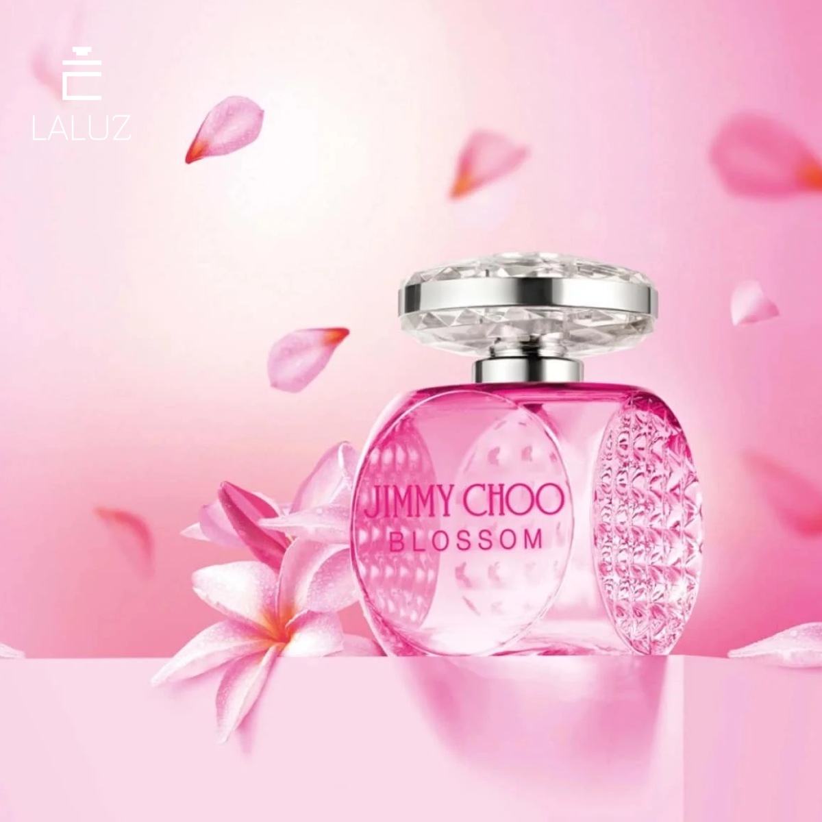 Jimmy Choo Blossom EDP mùi hương ngọt ngào cho phái đẹp