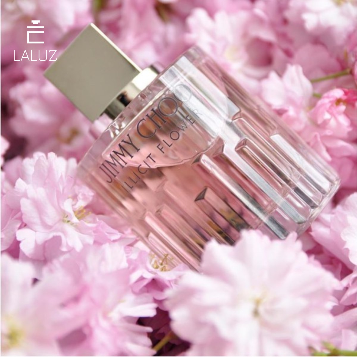 Jimmy Choo ILLICIT Flower EDT thuộc nhóm hương gỗ xạ hương