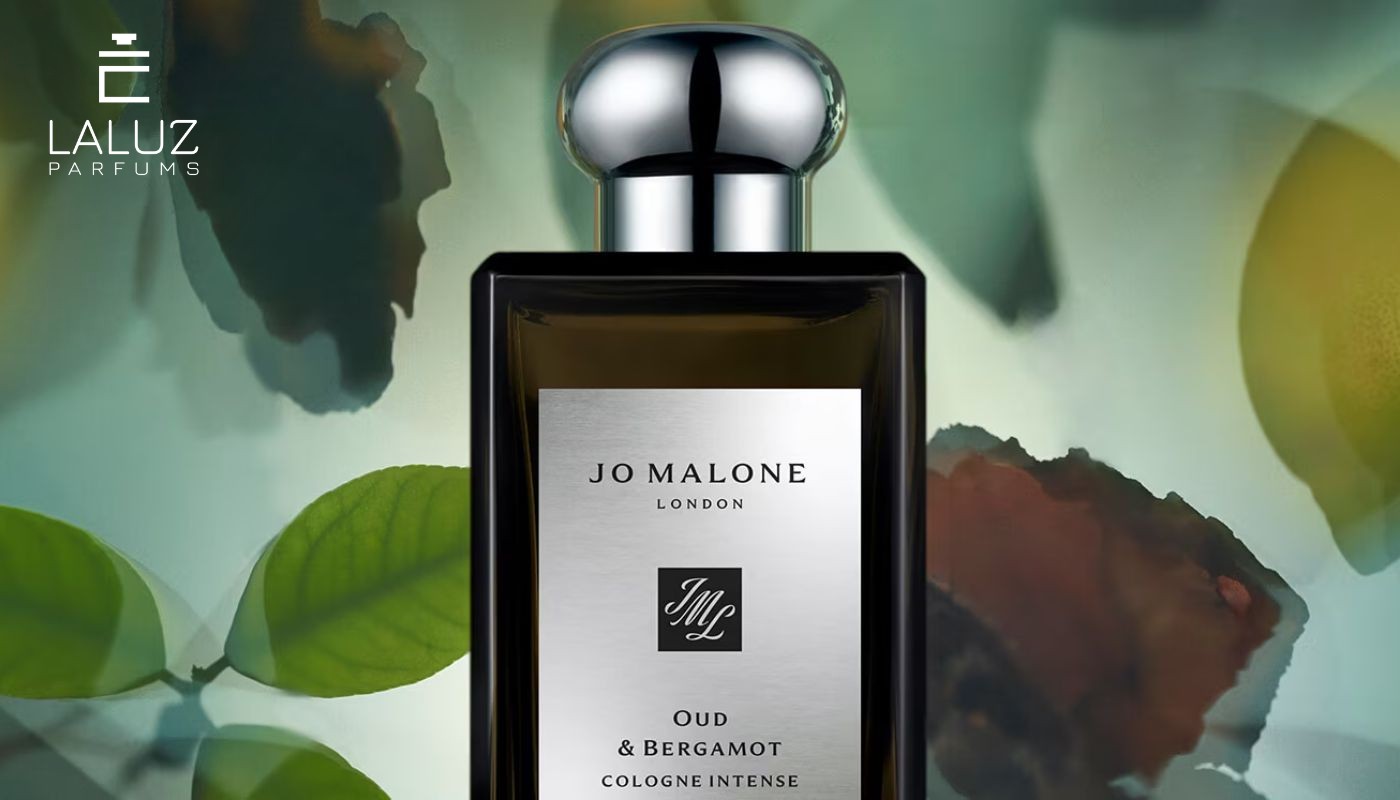 Nước hoa Jo Malone Oud & Bergamot được yêu thích nhiều