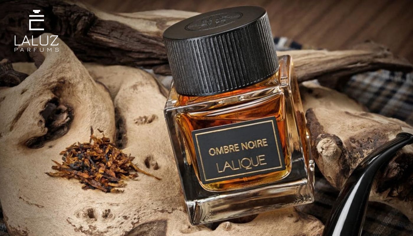 Nước hoa Lalique Ombre Noire EDP là một chai nước hoa mùi quế cho nam độc đáo
