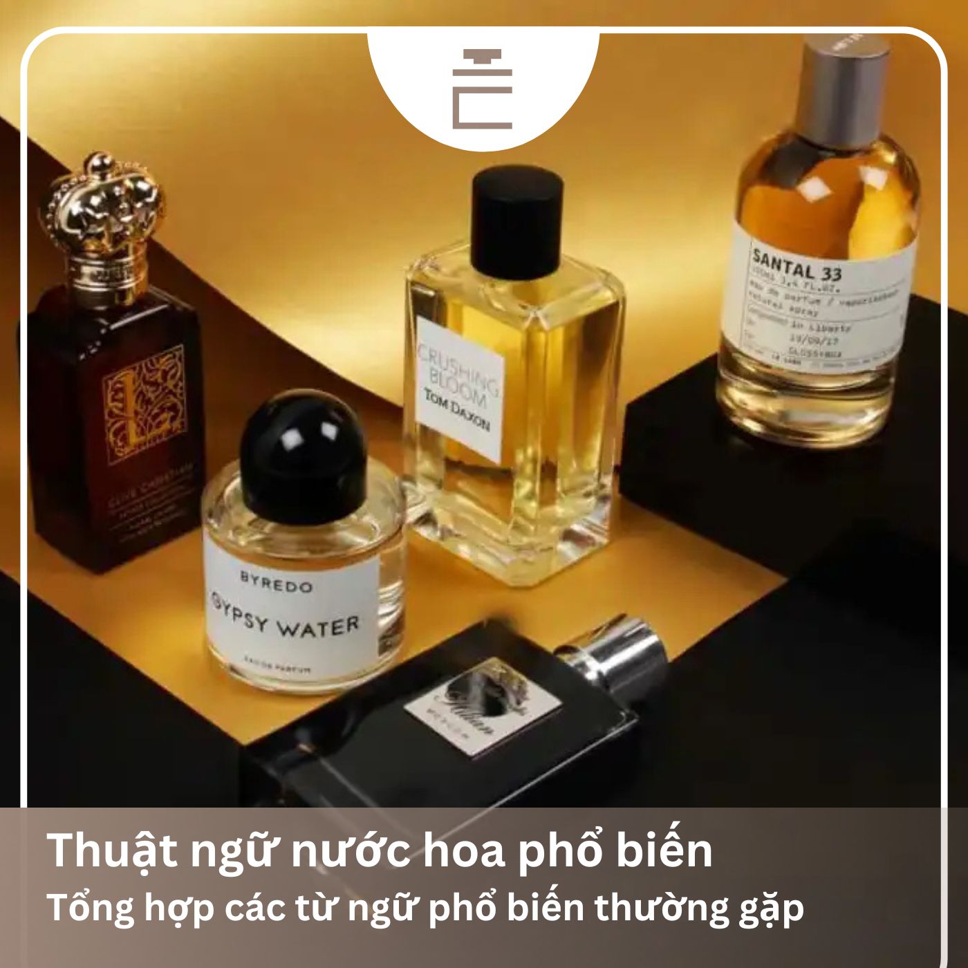 Giải mã 45+ thuật ngữ nước hoa mà các tín đồ yêu nước hoa thường dùng