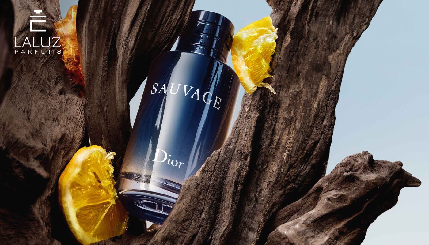Nước Hoa Mùi Gỗ Tuyết Tùng Dior Sauvage