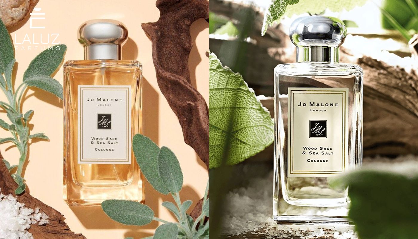 nước hoa cho da nhạy cảm Jo Malone London Wood Sage & Sea Salt Cologne