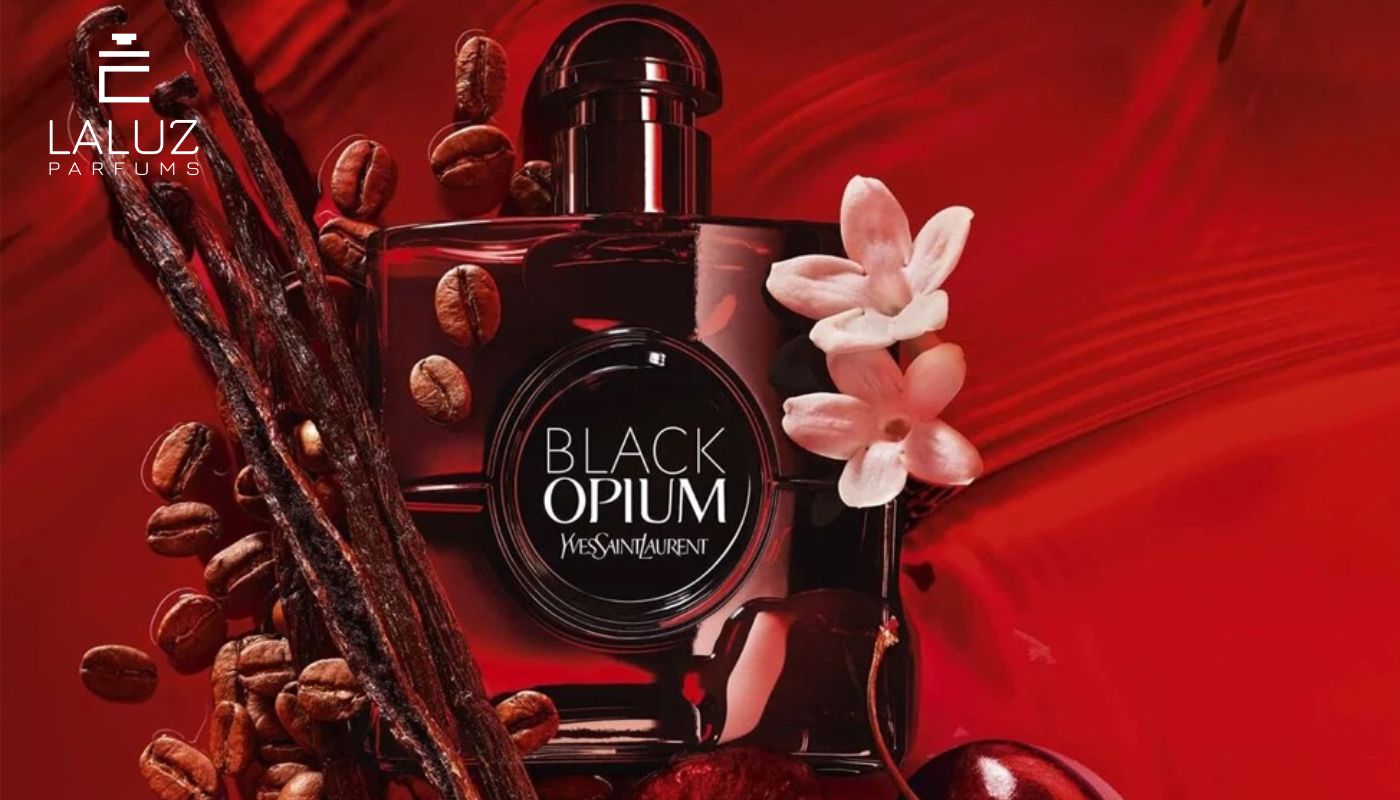 Nước hoa Cedarwood YSL Black Opium