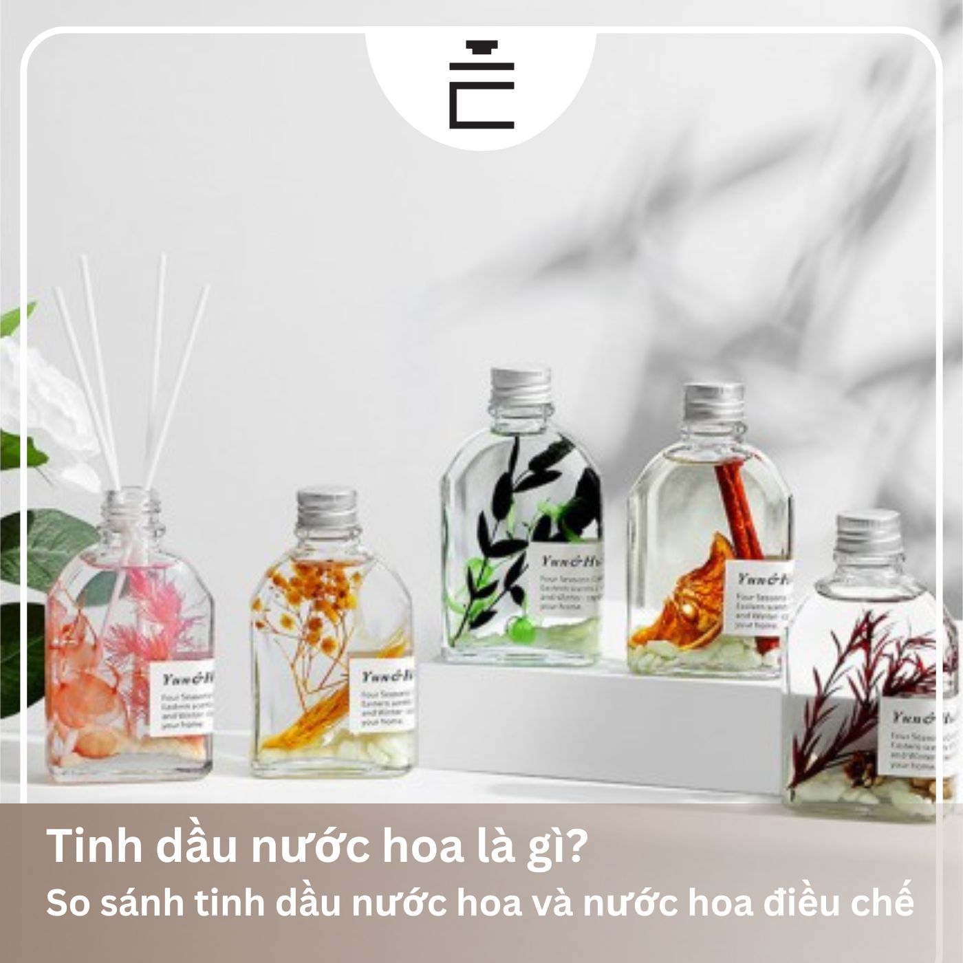 Tinh dầu nước hoa là gì? So sánh tinh dầu nước hoa và nước hoa điều chế