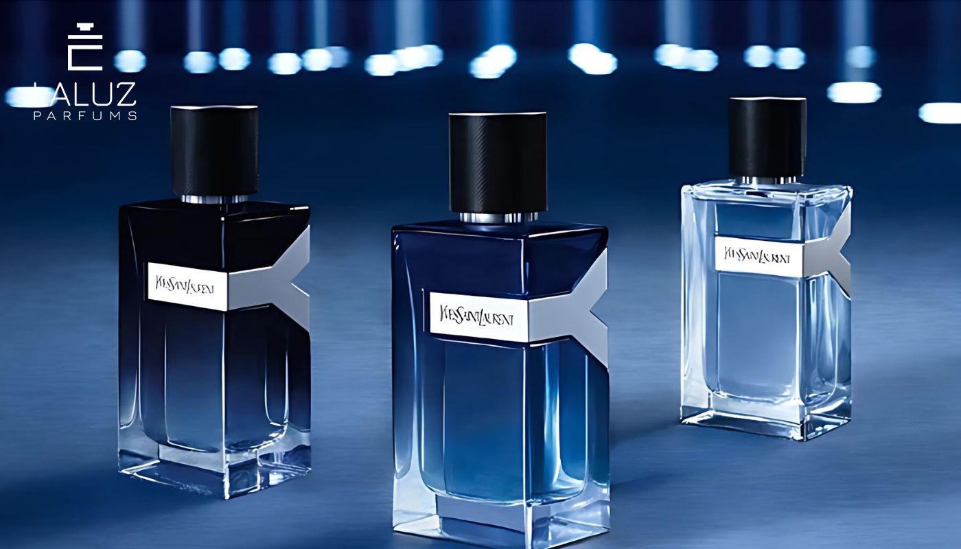 nước hoa cho lứa tuổi học sinh nam YSL Y EDP