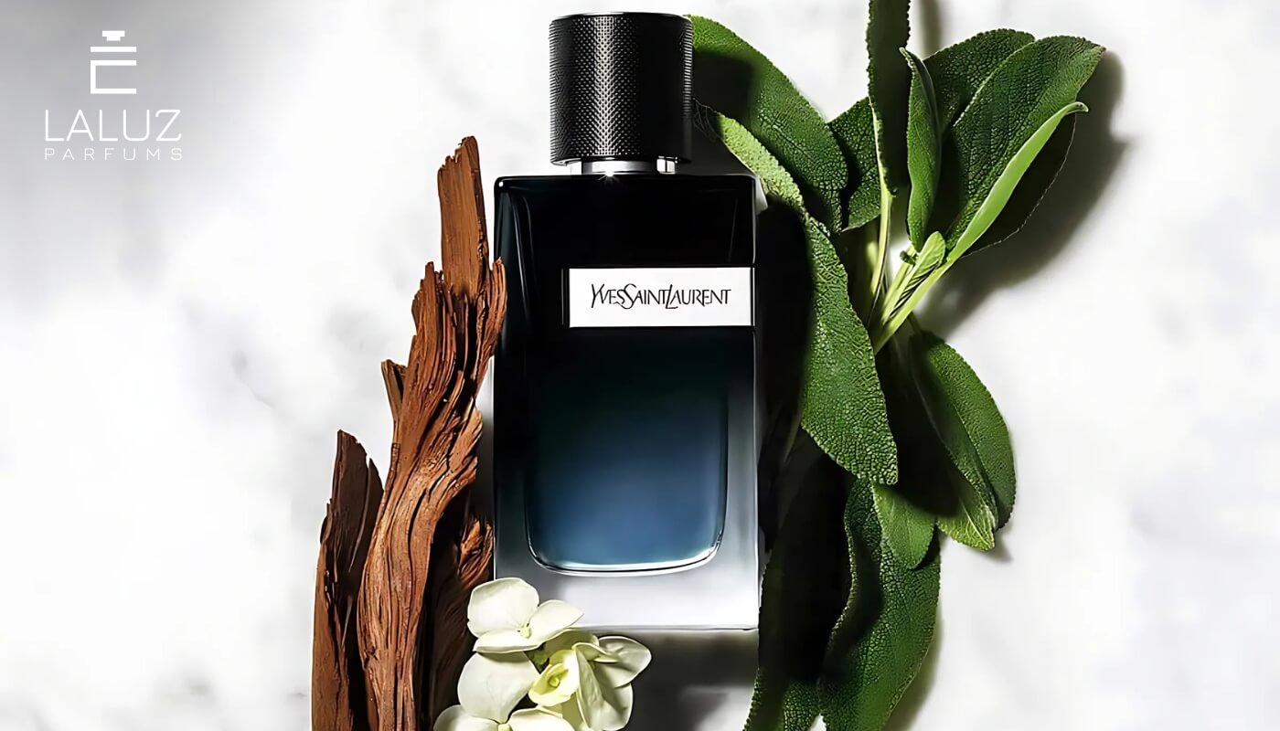 nước hoa YSL Y EDP
