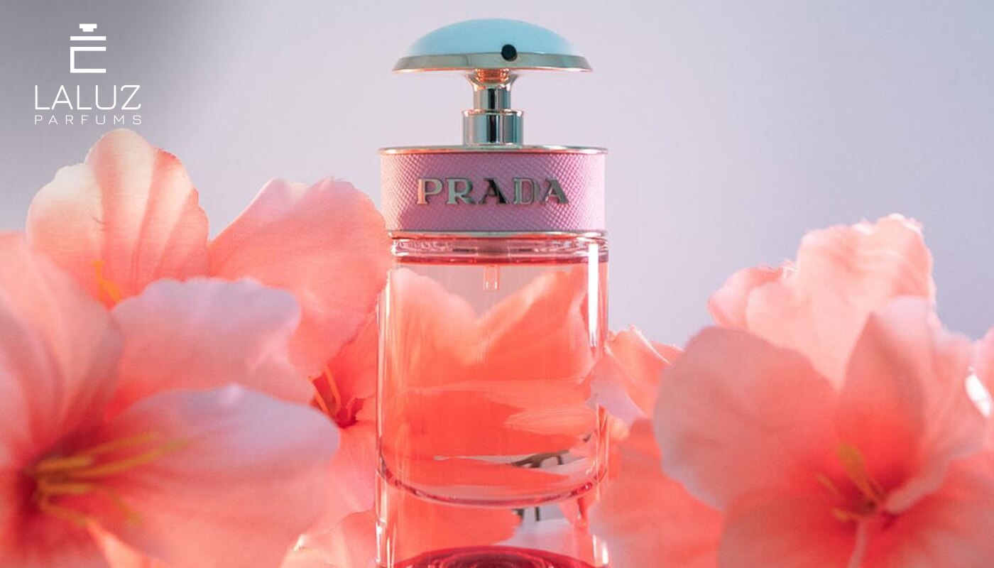 Prada Candy EDP dòng nước hoa cho người mới sử dụng phù hợp